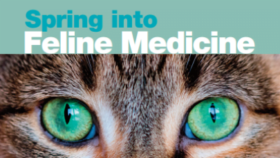 A AAFP está a promover um encontro virtual de três dias sobre medicina felina, o “Spring into Feline Medicine”, que começa no dia 18 de abril.