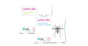 MSD Animal Health lançou a Leishcollar, uma nova coleira antiparasitária para a prevenção da picada do Phlebotomus perniciosus (flebótomo).