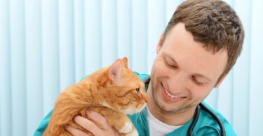 O HABRI e a WSAVA juntaram-se numa parceria que pretende destacar a importância da medicina veterinária nas ligações entre tutores e animais.
