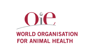 A Organização Mundial da Saúde Animal (OIE, sigla em inglês) vai continuar a ser liderada por Monique Éloit.