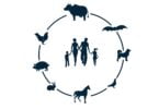 A APIFVET recorda as consequências das alterações climáticas e o consequente aumento da temperatura na saúde animal e humana.