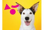 O Alegro Setúbal tornou-se num centro comercial dog friendly, reforçando o posicionamento dos centros comerciais Alegro.