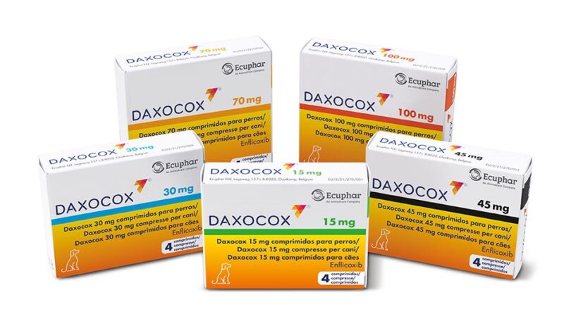 A Ecuphar lançou o Daxocox, que a empresa afirma ser o 1º e único AINE de administração semanal, para reduzir risco de breaktrough pain.