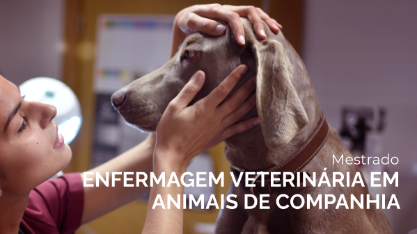 enfermeira veterinária a cuidar de cão - divulgação do Mestrado de enfermagem veterinária em animais de companhia