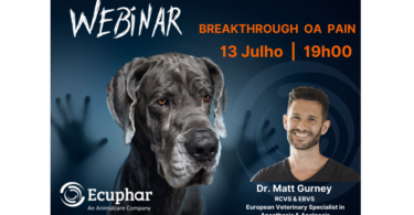 A Ecuphar/Animalcare Group está a promover um webinar europeu gratuito sobre a breakthrough pain na osteoartrite canina, no dia 13 de julho.
