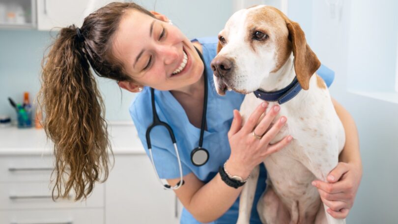 WVA atualiza a sua visão do papel do médico veterinário no bem-estar animal