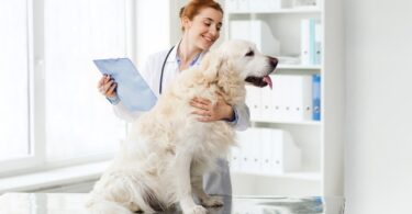 Num centro veterinário o cliente está disposto a pagar mais para ter um atendimento de excelência. Os tutores estão cada vez mais informados.