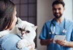 Cerca de 61% dos portugueses consideram que o médico veterinário é fundamental para garantir o bem-estar do seu animal de companhia.