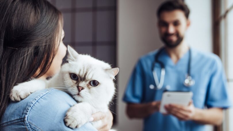 Cerca de 61% dos portugueses consideram que o médico veterinário é fundamental para garantir o bem-estar do seu animal de companhia.