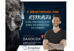 O seminário global sobre Breakthrough Pain, promovido pela Ecuphar foi disponibilizado online no canal do Youtube da empresa.