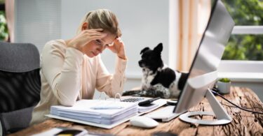 Um estudo da Universidade de Linköping descobriu que a relação que o cão tem com o seu titular está relacionada com o seu nível de stresse.