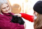 Um estudo descobriu que as proteínas-chave ligadas às doenças cognitivas em gatos são encontradas de forma semelhante também em humanos.