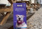 A cidade de Faro já conta com uma rota de espaços “pet-friendly” (amigos dos animais) em vários espaços públicos.