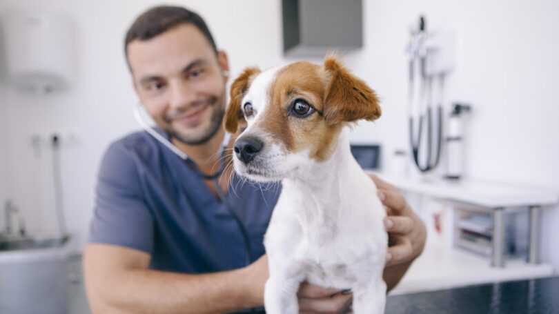 “Cómo mantener la motivación del personal en el centro veterinario?” é o nome do novo livro editado pela editora Servet.