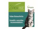 O programa Xpertise, promovido pela Vetoquinol, desenvolveu um novo “Guia internacional de osteoartrite felina”.