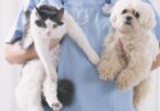 O Ministério da Agricultura reconheceu mais 25 médicos veterinários como Autoridade Sanitária Veterinária Concelhia.