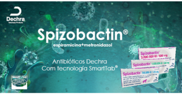 A Dechra Veterinary Products lançou o Spizobactin, ampliando assim a sua vasta gama de antibióticos orais.