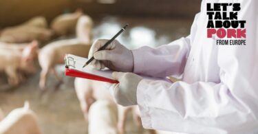 Um consórcio europeu que junta associações produtoras de suínos, liderado pela FPAS, quer avaliar o impacto das medidas de bem-estar animal.
