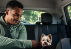 A Uber em Lisboa, no Porto e na região do Algarve conta agora com o Uber Pet, que permite que os clientes viajem com os animais de companhia.