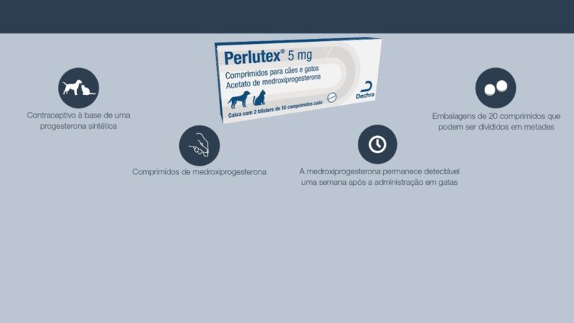O Perlutex, comprimidos de acetato de medroxiprogesterona para a interrupção e adiamento do cio em cadelas, está de volta.