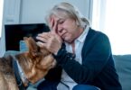 Os cães podem servir de apoio social e contribuir para reduzir o stresse, a tristeza, a ansiedade e a solidão, aponta um estudo da Purina.