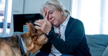 Os cães podem servir de apoio social e contribuir para reduzir o stresse, a tristeza, a ansiedade e a solidão, aponta um estudo da Purina.