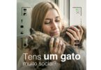A MSD Animal Health está a promover um casting para encontrar famílias com “gatos tranquilos que se deixem fotografar”.