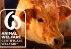 A empresa Monte do Pasto obteve a certificação em bem-estar animal “Animal Welfare – Certificação Welfair”.