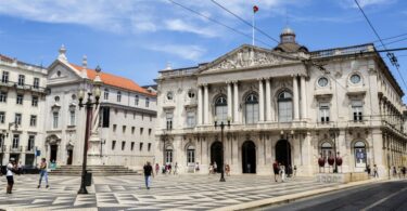 A Câmara Municipal de Lisboa (CML) aprovou o GOP, onde revela algumas das apostas na área da veterinária e bem-estar animal.
