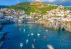 O Grupo Vetmedis vai construir no Parque Empresarial de Câmara de Lobos, localizado na ilha da Madeira, uma Cidade do Animal.
