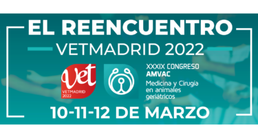 O Vetmadrid 2022, organizado pela AMVAC, terá a medicina e cirurgia em animais geriátricos como tema principal.