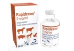 O catálogo da farmacêutica Dechra passa a contar com a solução de dexametasona - Rapidexon - registada para cavalos, bovinos, etc.
