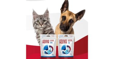 A VetNova aumentou o seu portefólio de produtos ADIVA com uma solução para a proteção gástrica, o ADIVA Gastric.