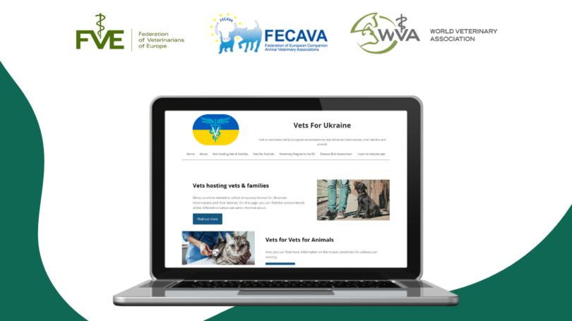 A FVE desenvolveu um portal web – o Vets4Ukraine – destinado a ser um hub para coordenar a ajuda aos médicos veterinários ucranianos.