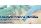 Centro de Formação Montenegro promove curso de Medicina Veterinária Intensiva