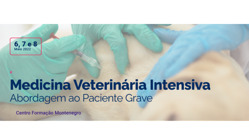 Centro de Formação Montenegro promove curso de Medicina Veterinária Intensiva