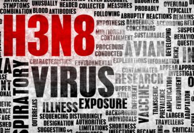 China deteta primeiro caso num humano da variante H3N8 da gripe aviária
