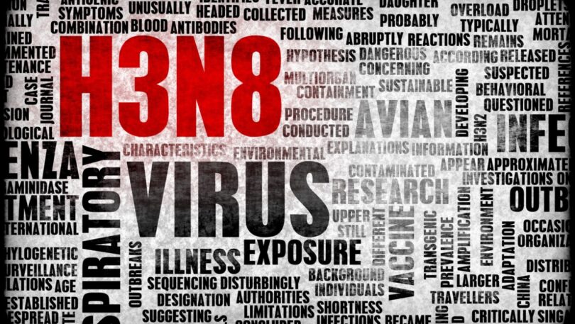 China deteta primeiro caso num humano da variante H3N8 da gripe aviária
