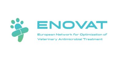 ENOVAT promove inquérito para otimização de guias para o uso de antibióticos