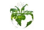 APIFVET alerta para importância da preservação da diversidade biológica