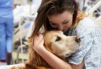 Terapia assistida com cães melhora saúde de adolescentes com distúrbios alimentares