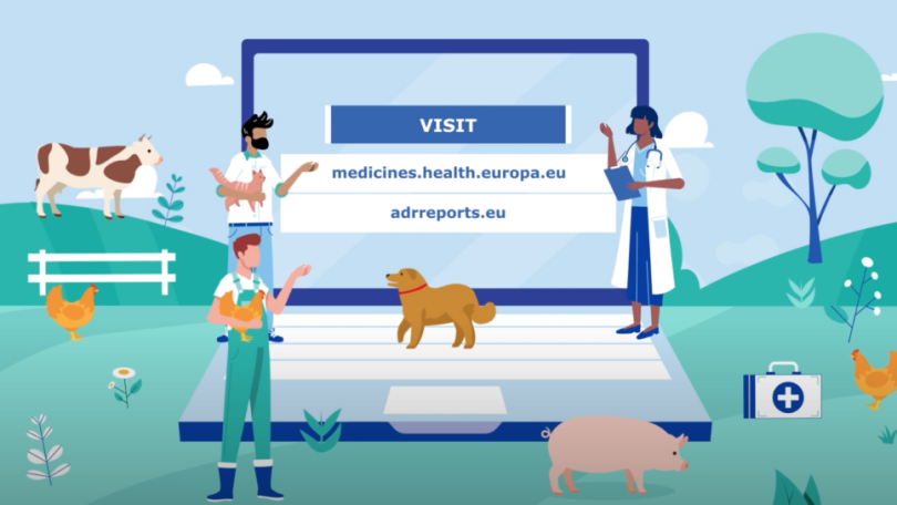 EMA lança página centralizada sobre medicamentos veterinários