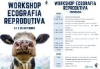 Workshop de ecografia reprodutiva em bovinos realiza-se 24 e 25 de setembro