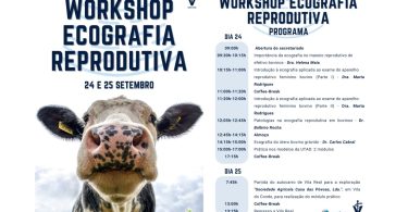 Workshop de ecografia reprodutiva em bovinos realiza-se 24 e 25 de setembro