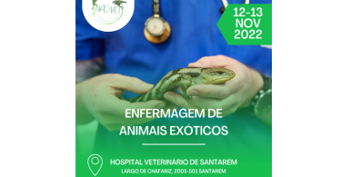 Nac Vet realiza curso de enfermagem de animais exóticos