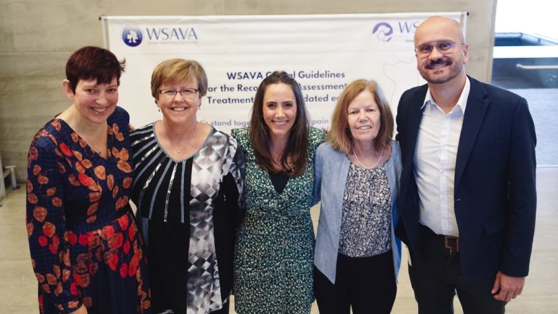 WSAVA lança atualização das diretrizes globais de gestão de dor