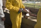 Mais de 70% das doenças humanas nos últimos 40 anos são zoonoses”