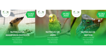 Nacvet promove ciclo de webinars sobre nutrição em animais exóticos