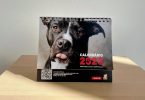 União Zoófila e Mapfre Seguros lançam calendário solidário com animais pretos
