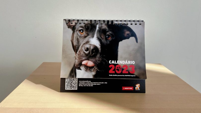 União Zoófila e Mapfre Seguros lançam calendário solidário com animais pretos